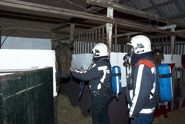 2011/201a/GB 20110914 030 Oefening grote huisdieren.jpg